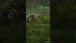 Slicing A Dugbog A Magical Mishap