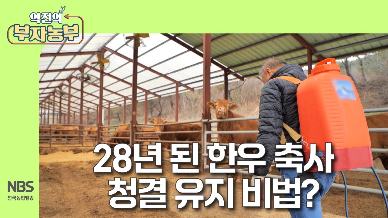 [역전의부자농부 297회] 28년 된 한우 축사 청결 유지 비법?