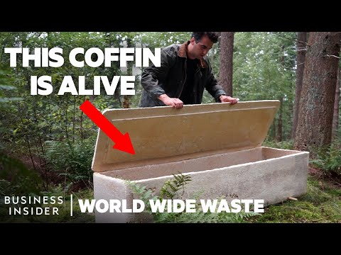 Video: Natural Funeral Of The Future: Instead Of Coffins Of Mycelium - Alternative View