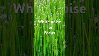 20 Seconds of Pure White Noise 🎧 | Instant Focus Boost