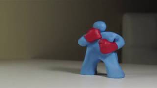 The Boxer