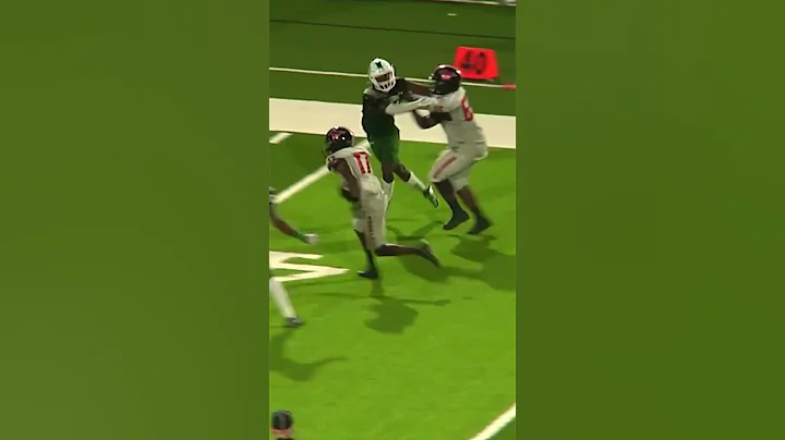 Excellent downfield blocking leads to a 54 yard TD...