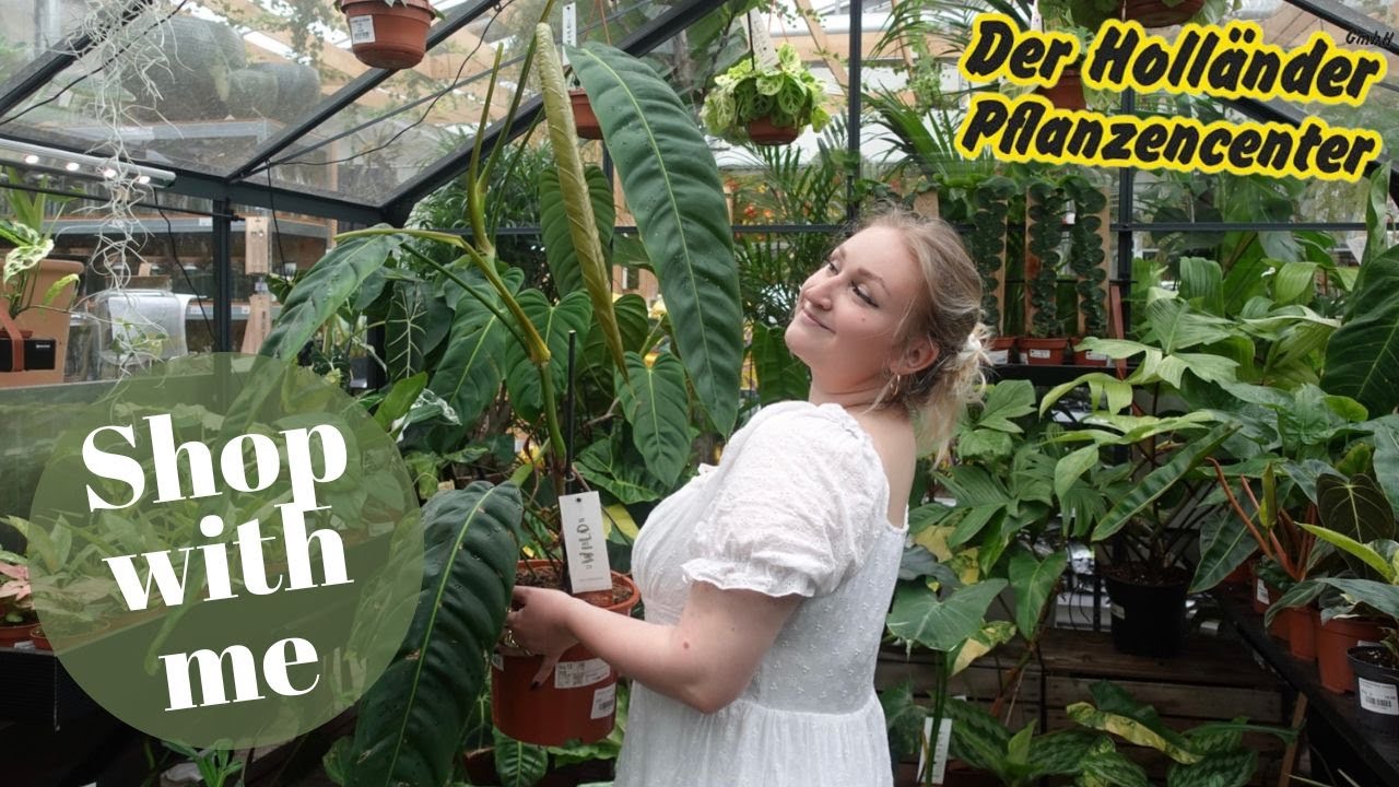 PFLANZEN Shop with me Follow me around bei DER HOLLÄNDER am