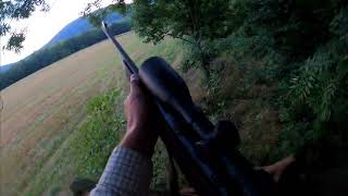 Deer hunting, Tikka T3, 7x64.