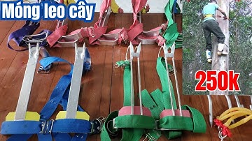 Bộ guốc leo câyì đinh / dụng cụ trèo cây an toàn giá rẻ / móng trèo dừa giá rẻ / giây đai an toàn