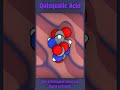 Quisqualic Acid | Synapse Shocker #Molecule