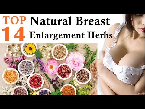 natural-breast-enlargement-herbs---top-14-natural-breast-enlargement-herbs