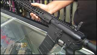 Maryland House Passes Gun-Control Measures