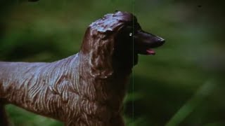 Jim & Judy's River Raft Set (1976) retro toy commercial