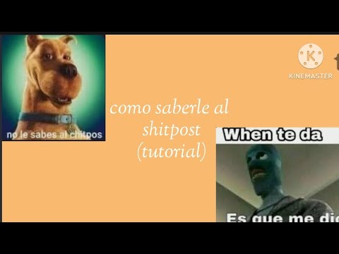 Shitpost Programación cómo saberle al shitpost - YouTube
