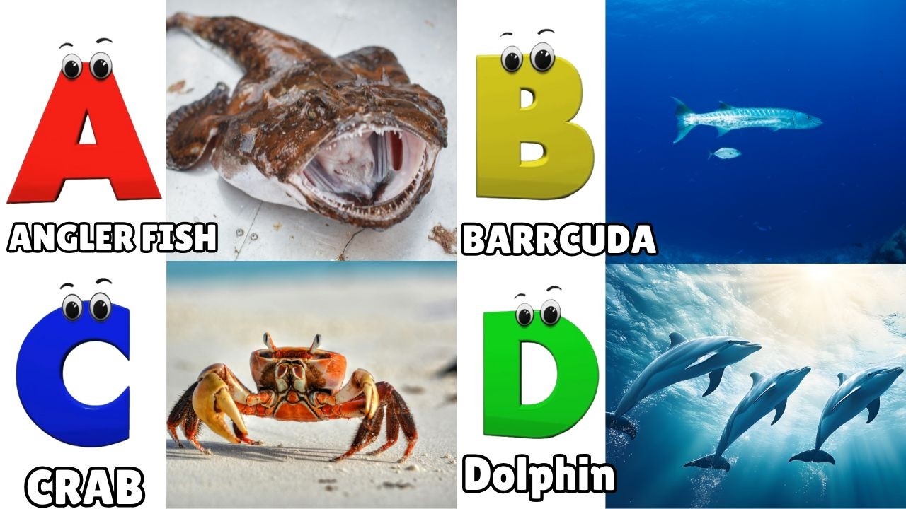 ABC Song | Sea Animals ABC Song | Phonics for Kids, Learn ABC, Baby Alphabet Letters