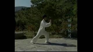 22. Apparent Close (Rúfēng shìbì  如封似闭)  Withdraw and Push as if Closing a Door