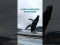 Surprise Proposal Location Scout: Juneau Seawalk and Whale Statue | Juneau Alaska Photographer