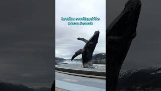 Surprise Proposal Location Scout: Juneau Seawalk and Whale Statue | Juneau Alaska Photographer