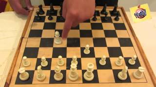 تعلم كيف تلعب الشطرنج للمبتدئين من الصفر حتى الاحتراف