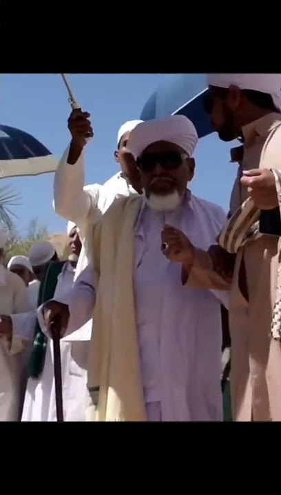 Story Wa✓ Kumpulan Habaib Di Kota Tarim Hadramaut Yaman #Shorts