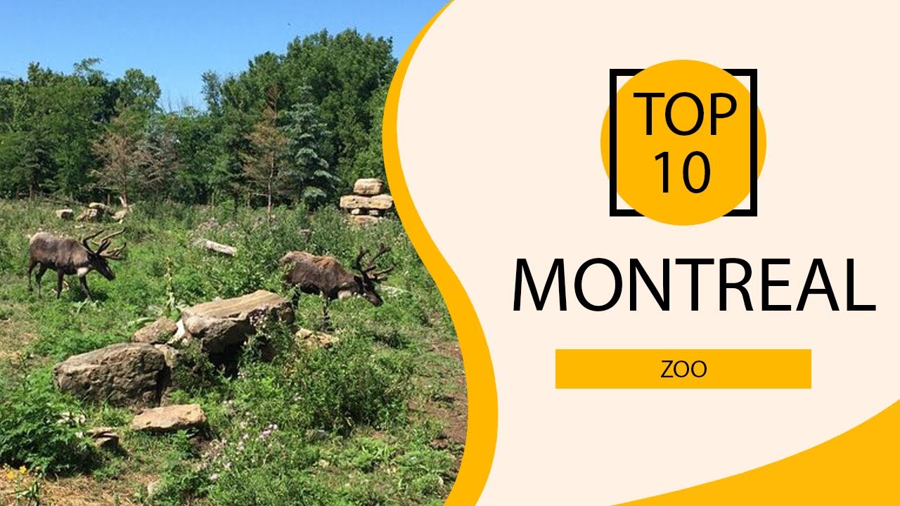 Top 10 Best Zoo to Visit in Montreal Canada English YouTube