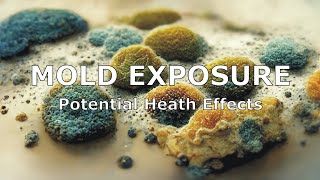 Mold Exposure and Potential Health Effects