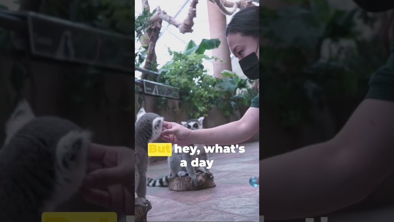 Austin's Top Family Fun Spots! 2024