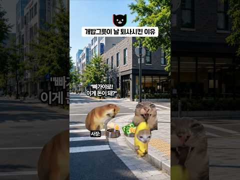 개밥그릇이 날 퇴사시킨 이유 🐶
