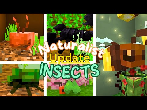 ALL INSECTS | Naturalist 2.0 UPDATE | Showcase - YouTube