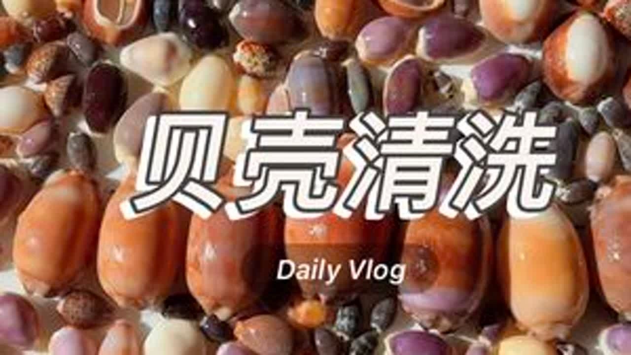 贝壳清洗| 宝螺（猪仔螺） 草酸和水的比例1:1左右稀释使用，花纹容易被
