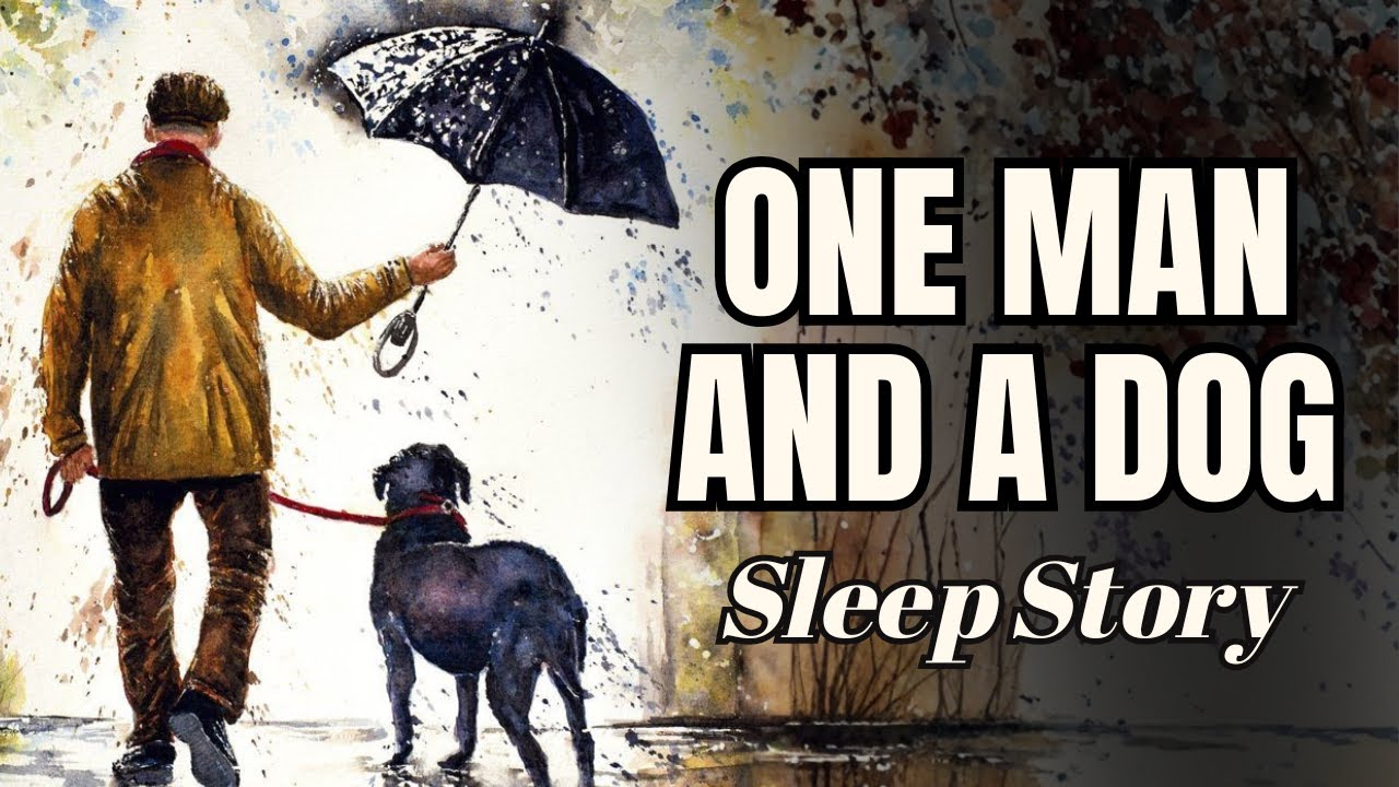 One Man and A Dog: A Heartwarming Sleep Story | Bedtime Story for Grown Ups, Sleep in 10 Minutes