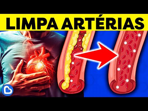 20 ALIMENTOS QUE