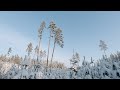 Latvia winter hiking - Viesatas upesloku takas