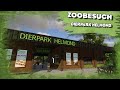 Planet Zoo Besuch #025 🦙 Dierpark Helmond 🐐 by Odicus