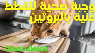 🦈وجبة أكل منزلية غير مكلفة للقطط و مكونة أساسا من السردين والبيض🐣