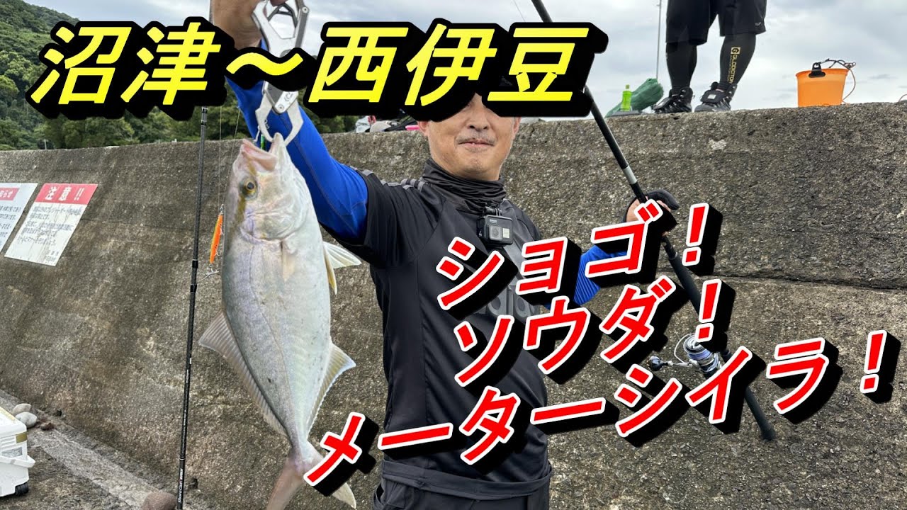 【沼津～西伊豆】堤防ショアジギ　大物リベンジなるか？！