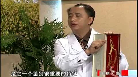 人蔘的功效與吃法01 - 天天要聞