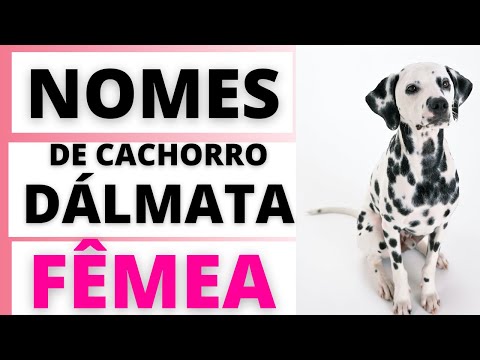 Vídeo: 101 nomes do filhote de cachorro da menina