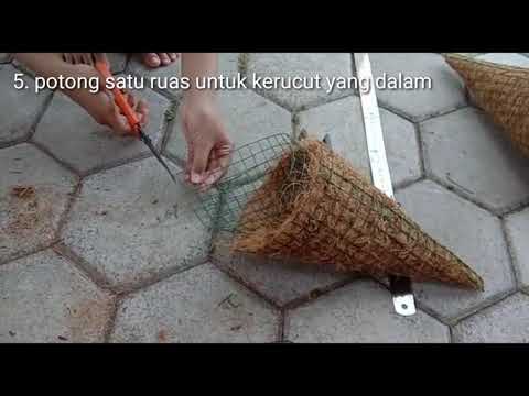 Video: Cara Membuat Pohon Dari Kerucut