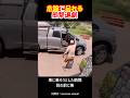 危険過ぎる男性の振る舞い#shorts #bear #dangerous #熊#危険