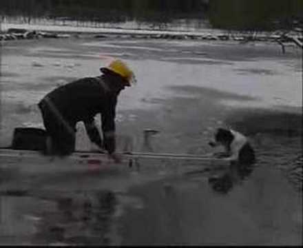 The Fire Brigade bravely rescue a drowning dog from a frozen pond in Pearson Park Kingston Upon Hull. A long time ago, probably at least 10 years.