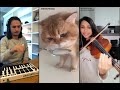The Kiffness X NumNum Cat X Violin