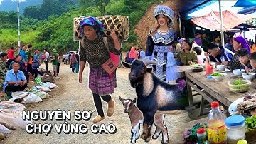 Nguyên Sơ Giản Dị Phiên Chợ CỐC LY  - Dê Núi Đặc Sản, Lợn Cắp Nách Gây Sốt & Nhộn Nhịp Người Mua Bán