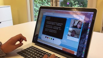 PandaTree Shared Document Editor Reading