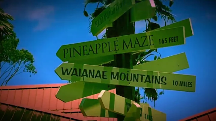 Dole Plantation Pineapple Express Song