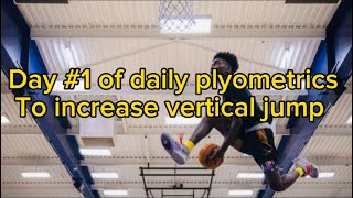 How to jump higher: Day #1 of daily plyometric challenge