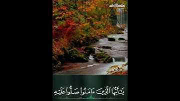 إِنَّ ٱللَّهَ وَمَلَٰٓئِكَتَهُۥ يُصَلُّونَ عَلَى ٱلنَّبِىِّ ۚ - تلاوة خاااشعة😍-حالات وتس يوم الجمعة🌸