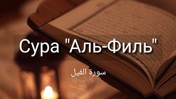 Выучите Коран наизусть | Каждый аят по 10 раз 🌼| Сура 105 "Аль-Филь"
