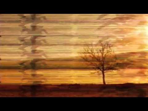 bouncing stones - Spoonbill (featuring Bodhi Seed) Directed by Dropbear