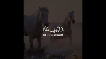تلاوة هادئة تريح الأعصاب 😴🎧 | القاريء ياسر الدوسري - سورة لقمان 🤍🌥️."