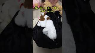 짐 많을 때 이거 하나면 끝! 다이소 핫템!
