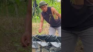 Download Lagu Mikat burung kecil pake mp3 #pikat #kicaumania #mikatburungkecil MP3 Download Lagu Mikat burung kecil pake mp3 #pikat #kicaumania #mikatburungkecil MP3