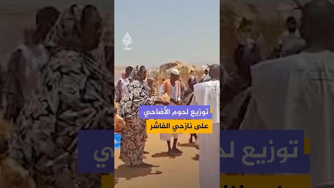 مبادرة سودانية لتوزيع لحوم الأضاحي على الأسر النازحة بالفاشر