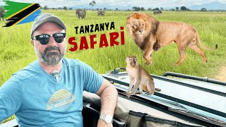 Mikumi Ulusal Parknda Safari Maceras   Durmuun Rotas